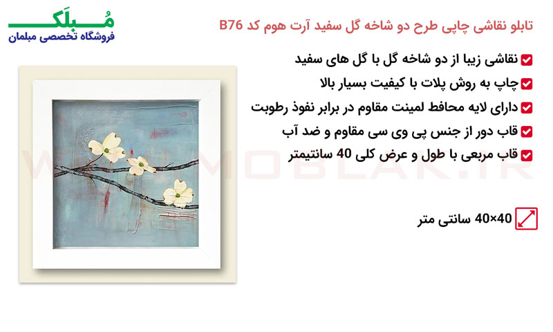 مشخصات تابلو نقاشی چاپی طرح دو شاخه گل سفید آرت هوم کد B76